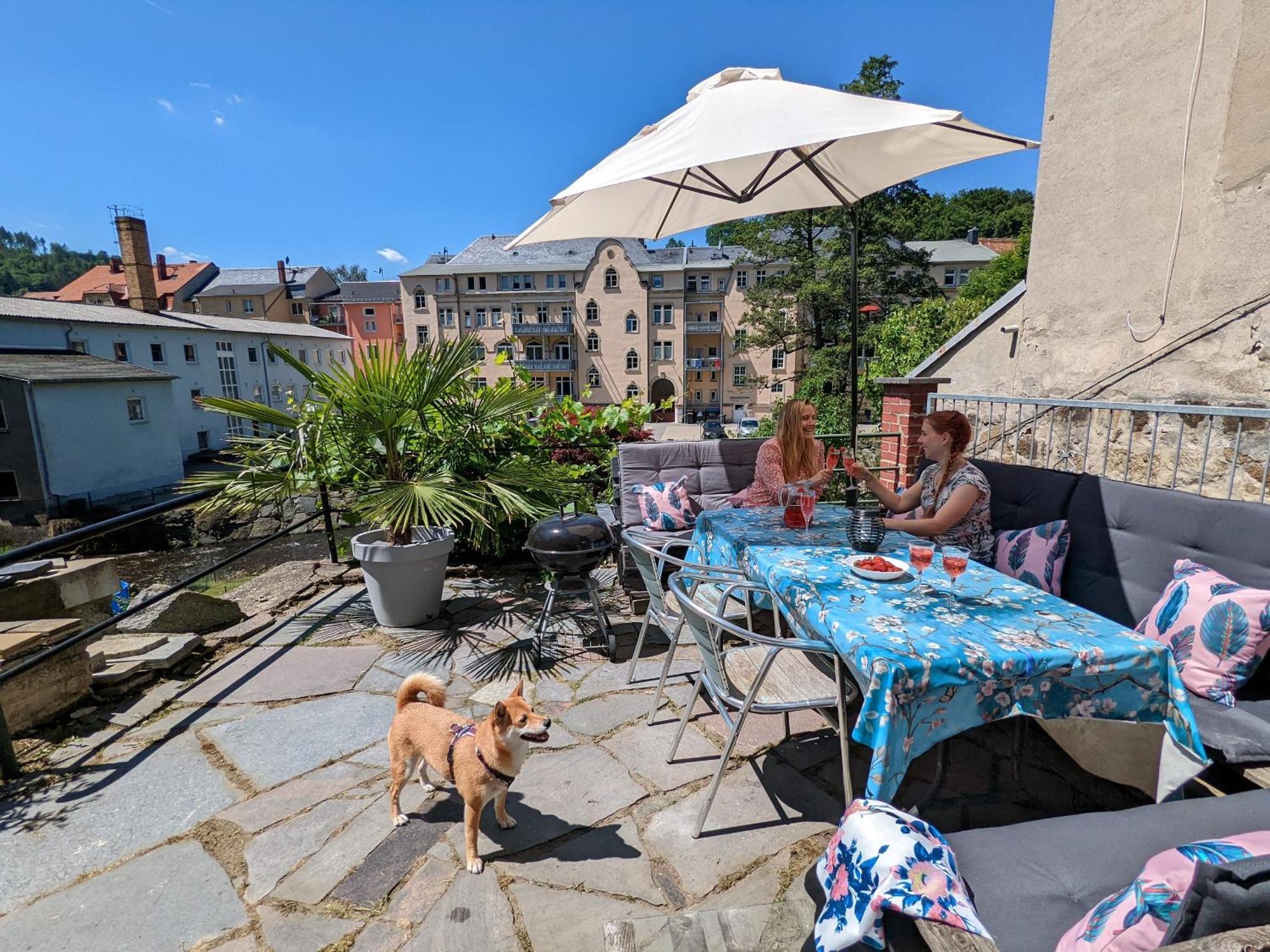 F3 Urlaubsmagie - Pool, Garten & Terrasse - 4P Sebnitz Εξωτερικό φωτογραφία